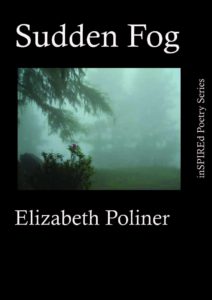 sudden_fog-cover